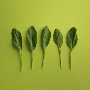 best food for hair loss and hair growth spinach